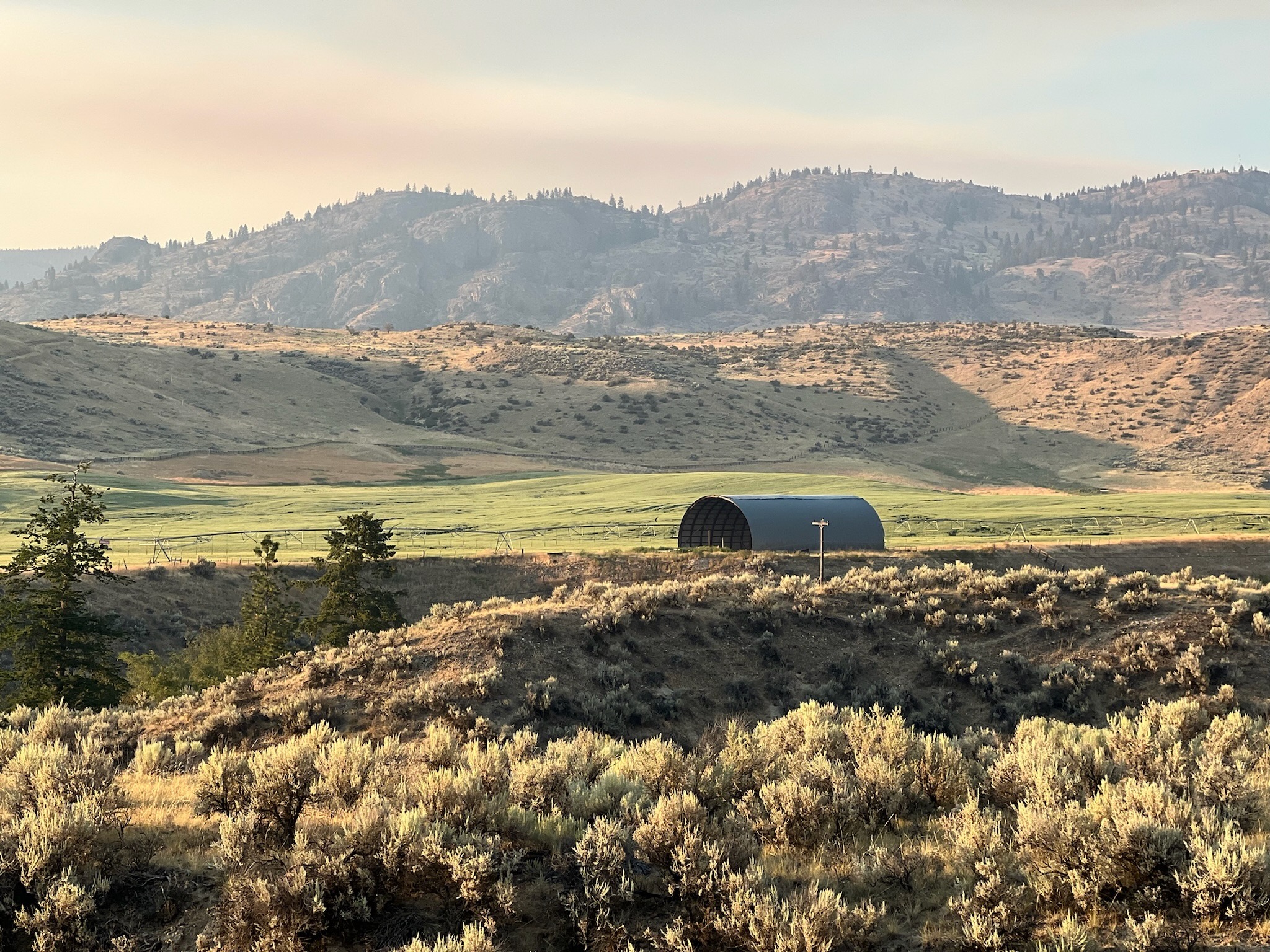 farm / orchard photo (landscape)